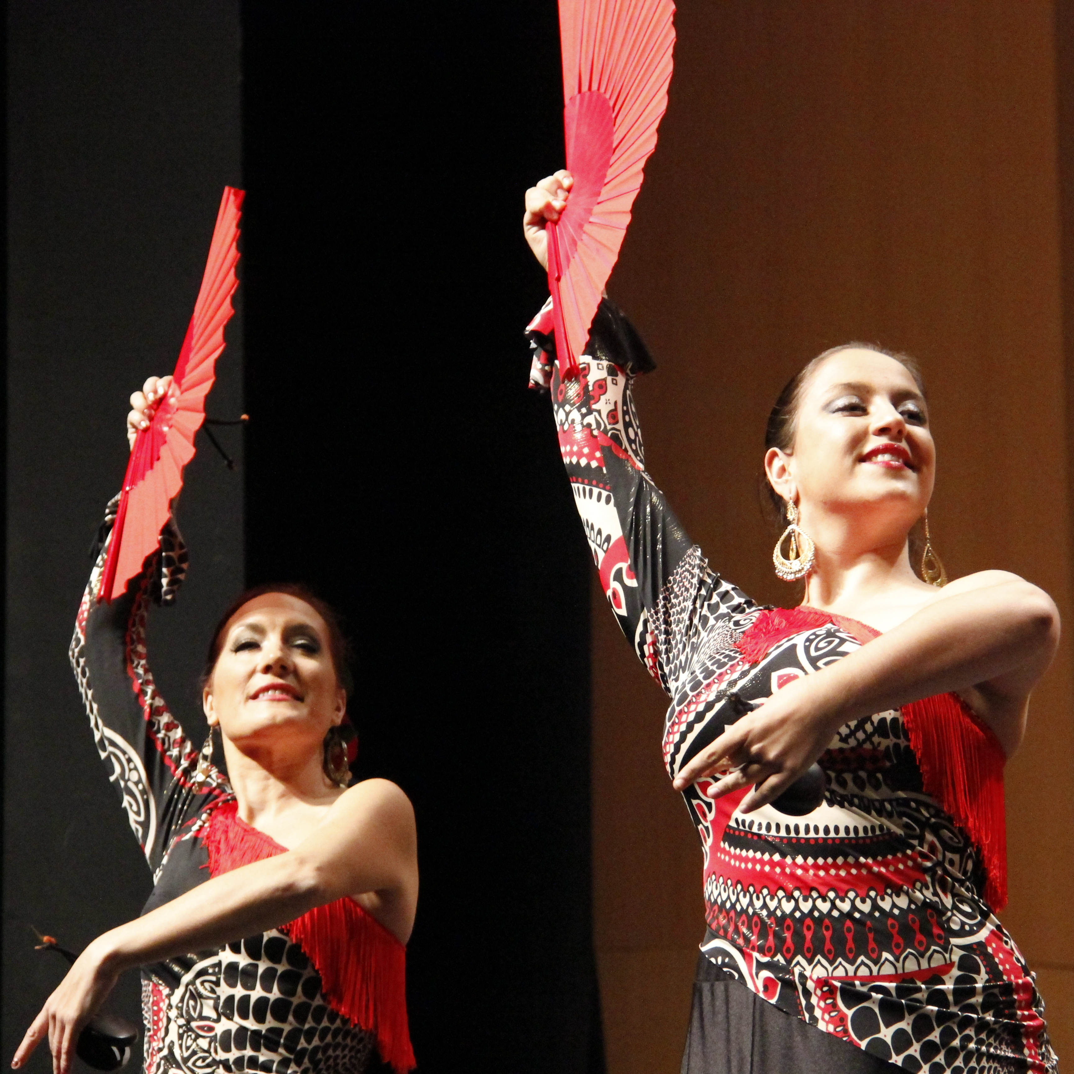 flamenco_virginiabolufer