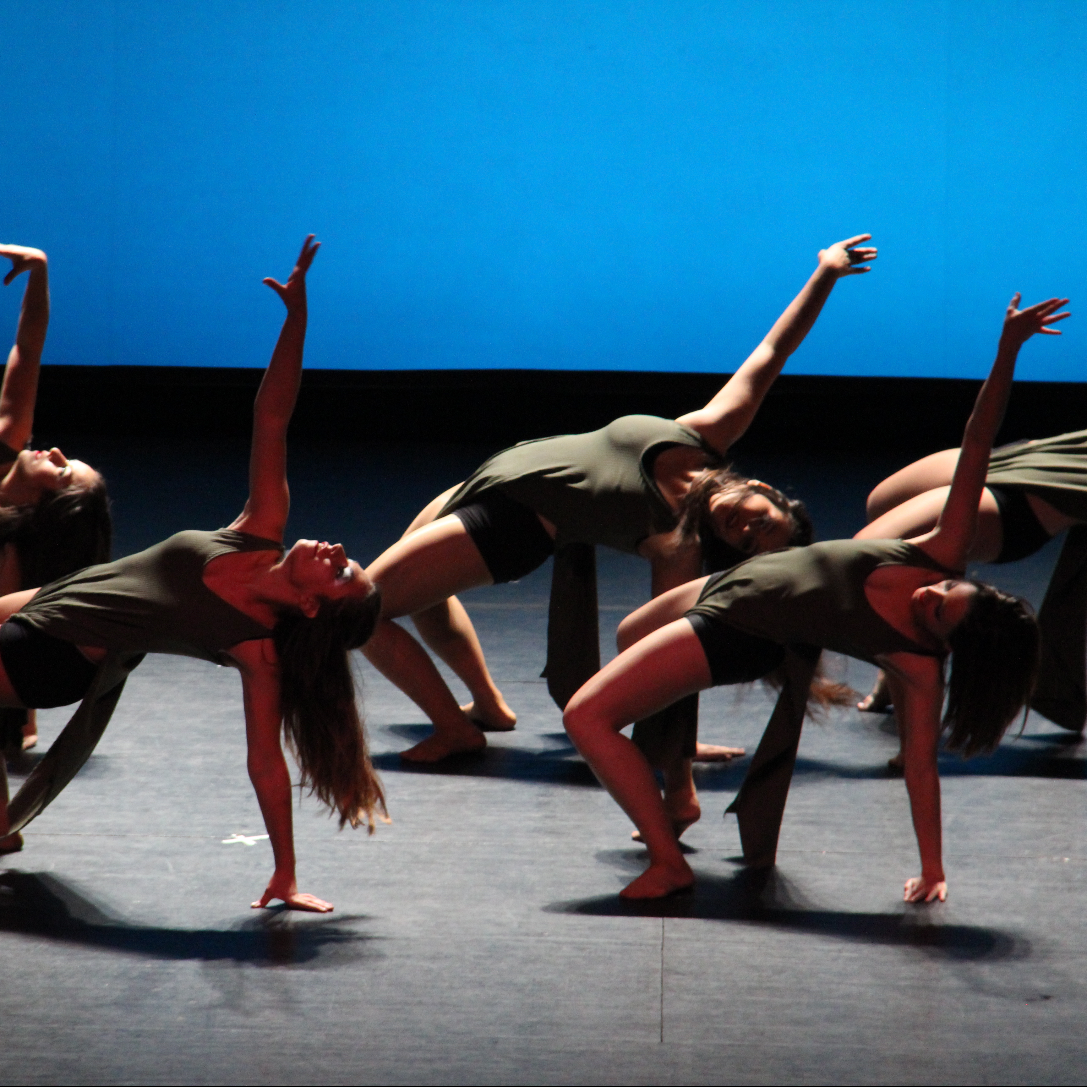 contemporáneo_virginiabolufer