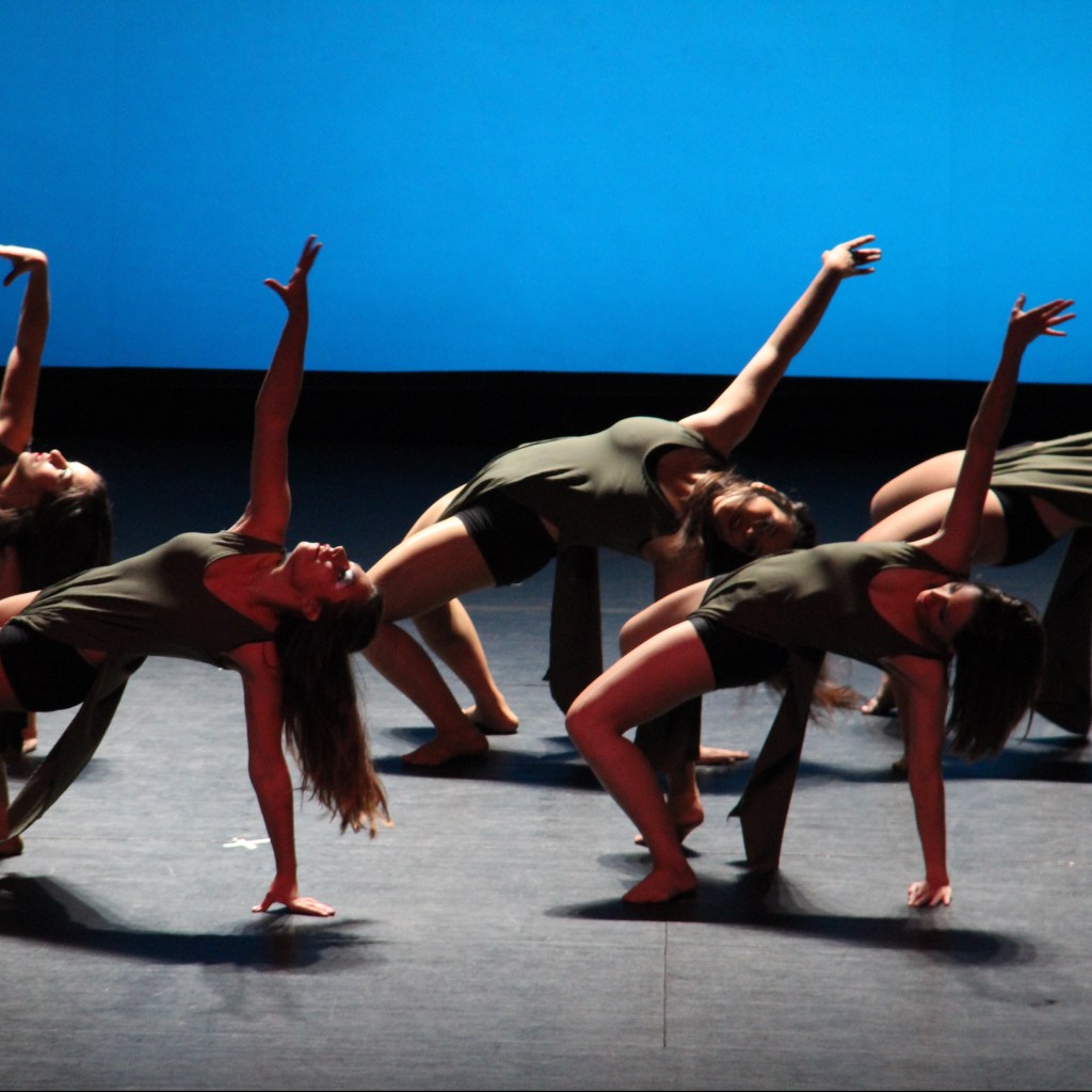 contemporáneo_virginiabolufer